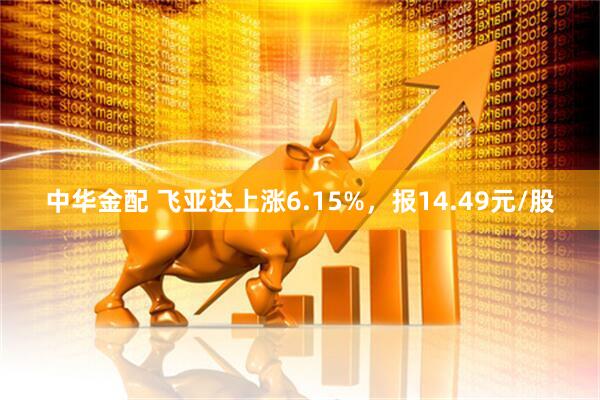 中华金配 飞亚达上涨6.15%，报14.49元/股